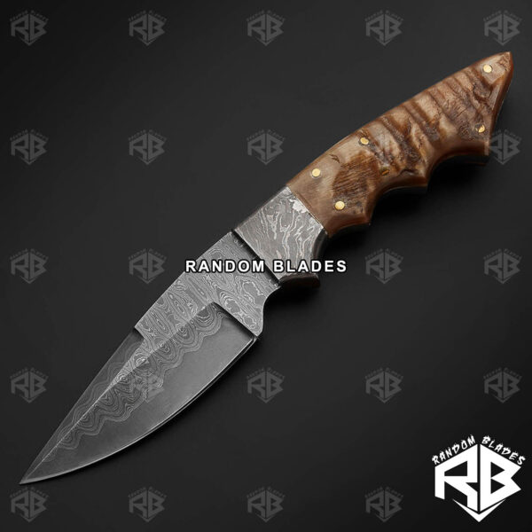 Best Ram Horn Hunting Knife – Fixed Blade Hunting Knife – Random Blades
